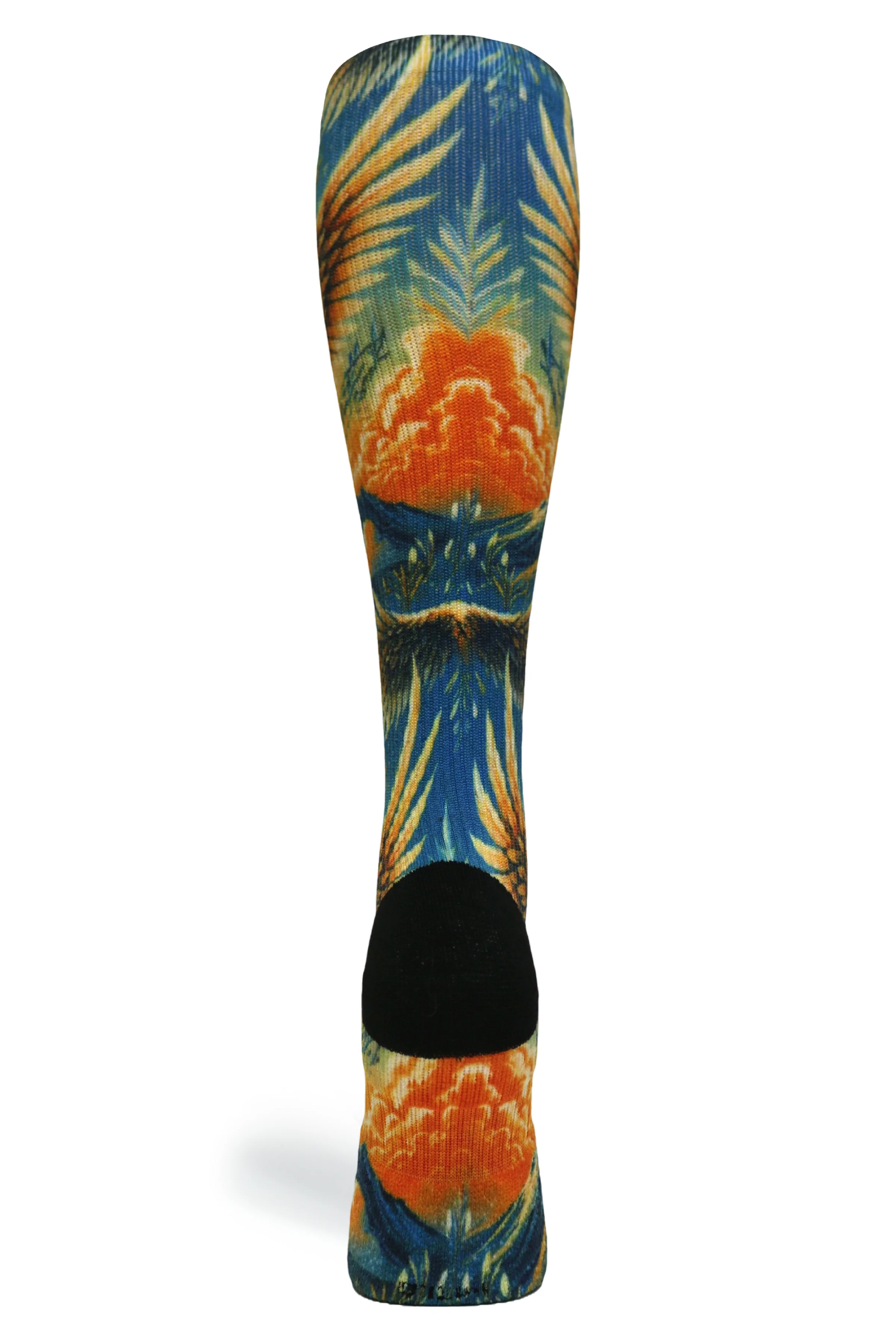 Eagles - (Standard & Extra Wide) - Image 8